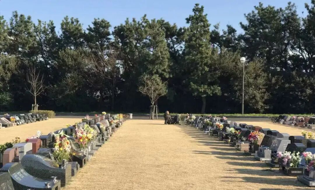Elderly sitting at Urayasu City Cemetery Park (photo taken by Wan He)